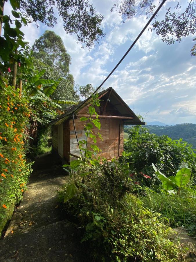 Eco Lodge La Juanita 마니살레스 외부 사진