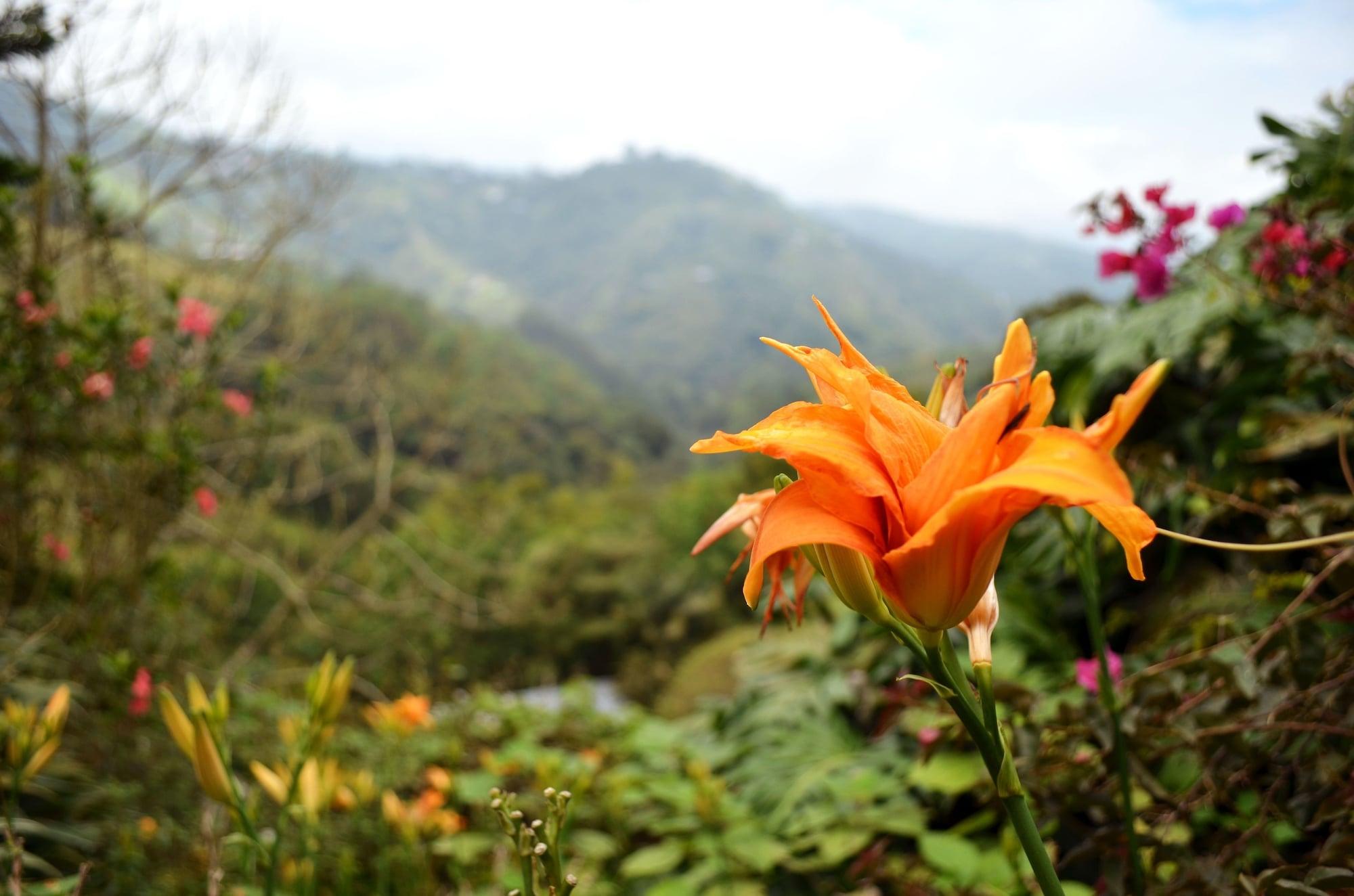 Eco Lodge La Juanita 마니살레스 외부 사진