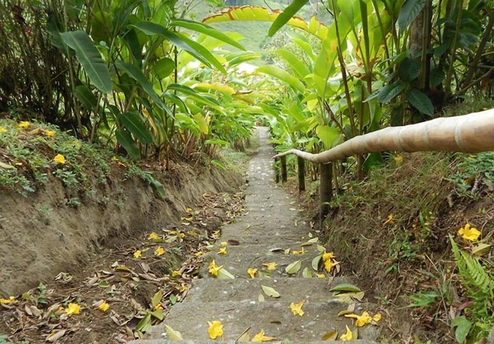 Eco Lodge La Juanita 마니살레스 외부 사진