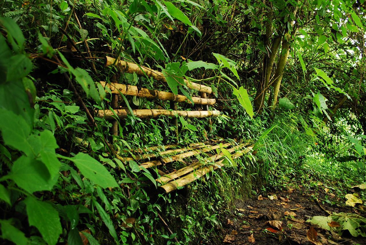 Eco Lodge La Juanita 마니살레스 외부 사진